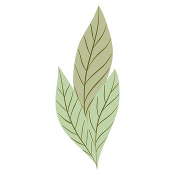 Hand Drawn Flat Doodle Leaf. Nature Green Leaf Design Element. Vector illustration