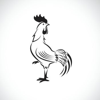 Vector of cock or rooster design on white background. Easy editable layered vector illustration. Farm Animals.