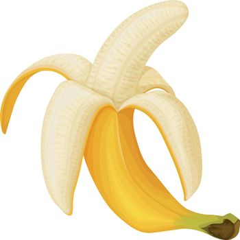Banana. Image of a peeled banana. Ripe tropical fruit. Ripe banana. Vector illustration isolated on a white background.