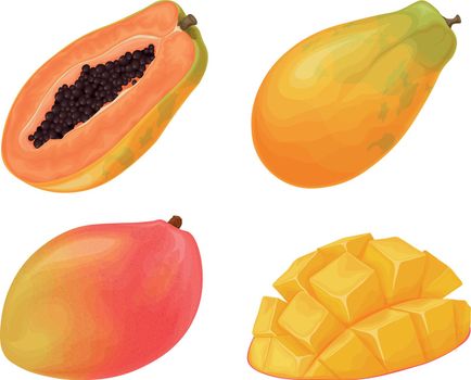 Mango and papaya. Exotic fruits. Ripe mango. Juicy papaya. Tropical fruits. Vector illustration.