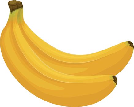 Bananas. Image of bananas. Ripe tropical fruit. A ripe branch of bananas. Vector illustration isolated on a white background.