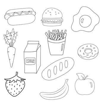 Food sketch in vector with fast menu, bread and fruits with vegetables. Lunch meal with hamburger and french potatoe