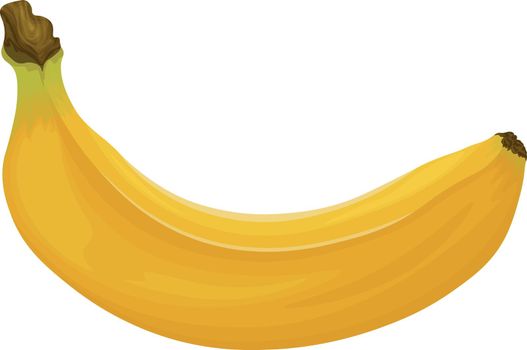 Banana. Image of a banana. Ripe tropical fruit. Ripe banana. Vector illustration isolated on a white background.