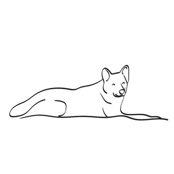dog laying down on the ground illustration vector hand drawn isolated on white background line art.