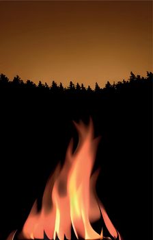 fire in the forest and fire flames