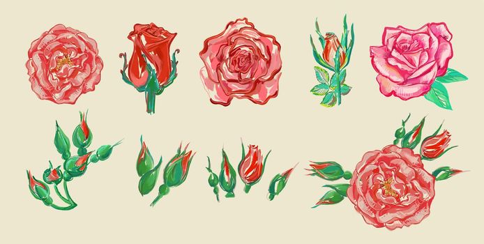 Collection of flowers. Roses. Illustration of buds. The emblem, in the style of a sketch. Painting on canvas sloppy, expressionism. Vector. Vintage retro style. For registration of invitations, postcards.