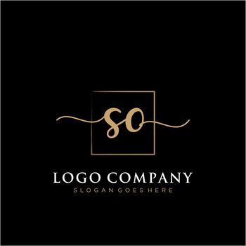 Initial handwriting logo with rectangle template vector