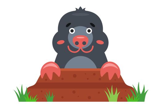 a mole peeks out of a hole in the garden. flat vector illustration.