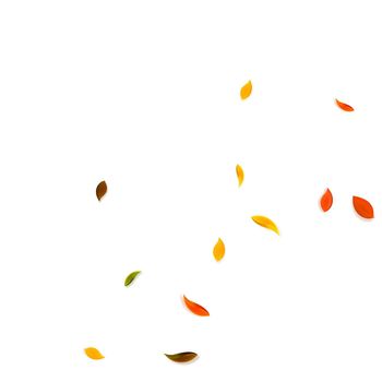 Falling autumn leaves. Red, yellow, green, brown random leaves flying. Corner colorful foliage on graceful sunset background. Bold back to school sale.