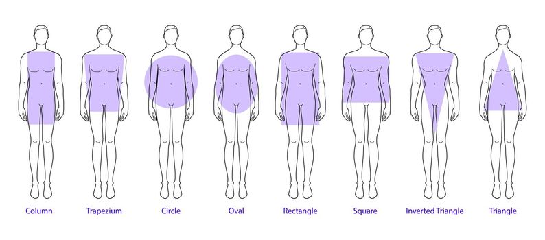 Set of Men body shape types: triangle, column, trapezium, circle, oval, square, inverted. Male Vector outline sketch isolated illustration silhouette 9 head size Gentlemen figure front view boy