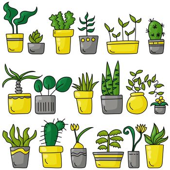 A set of indoor various plants in a doodle style, different types of blooming and not only indoor plants in bright gray and yellow pots vector illustration
