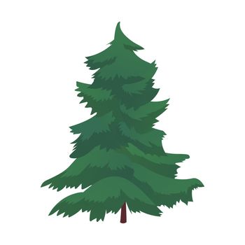 Realistic dense green spruce isolated on white background - Vector illustration