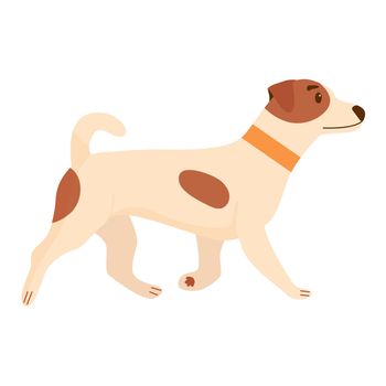Cute dog. Domestic, funny dog isolated on white background. Flat vector illustration.