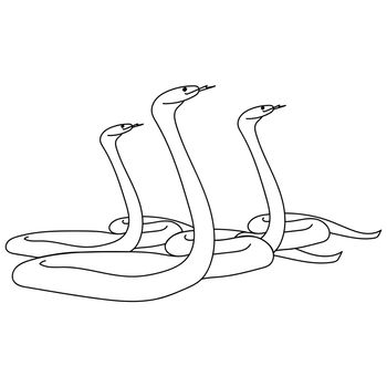 three snakes twisted and with protruding tongues, coloring page for studying zoology, dangerous reptiles vector outline illustration for design and creativity