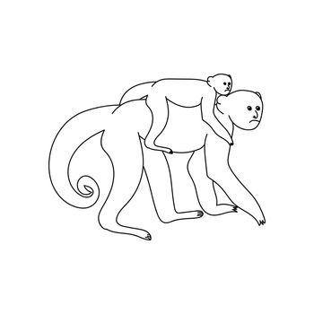 Monkey mom and baby coloring page for children, parents and kids in the animal world, outline vector illustration for design and creativity