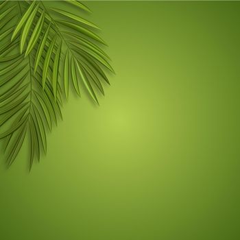 Abstract natural background with realistic palm leaves. Vector Illustration EPS10