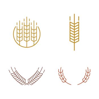 Agriculture wheat Logo Template vector icon flat design