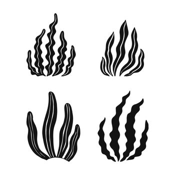 Set of seaweed. Marine plants are isolated. Hand drawn illustration converted to vector.