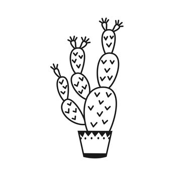 Potted cactus Vector outline illustration drawings on a white background