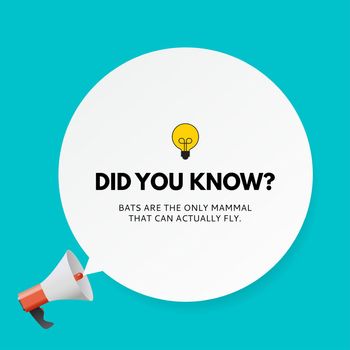 Did you know interesting fact Vector Illustration.