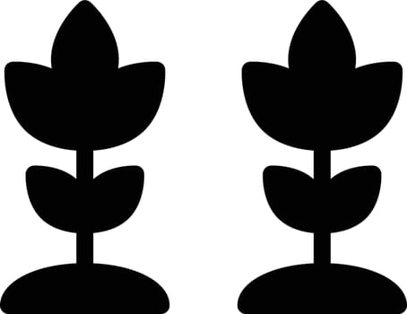 plant Vector illustration on a transparent background. Premium quality symbols. Glyphs vector icon for concept and graphic design.