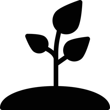 plant Vector illustration on a transparent background. Premium quality symmbols. Glyphs vector icons for concept and graphic design.
