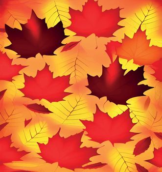 close up autumn leaves background