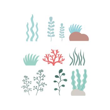 Set of seaweed and coral on a white background. Clipart algae and marine plants, set of icons. Cartoon vector illustration.
