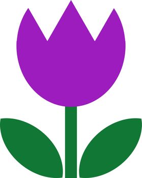 Tulip vector. Violet tulip icon on a white background.