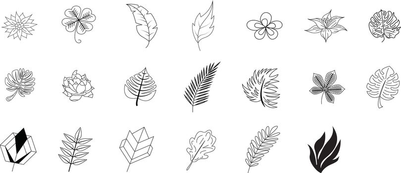 A set of hand-drawn twigs with leaves. Doodle style. Botanical, plant elements for design of postcards, invitations. Isolated on white. Luxury design set for wedding and decoration.