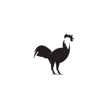 Rooster Logo Template vector illustration