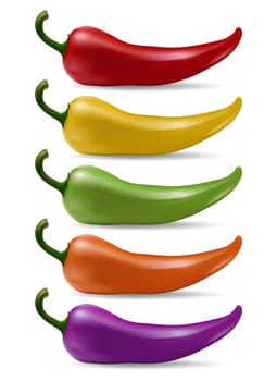 Set of realistic chilli peppers isolated on white background. Vector EPS10 Illustration.