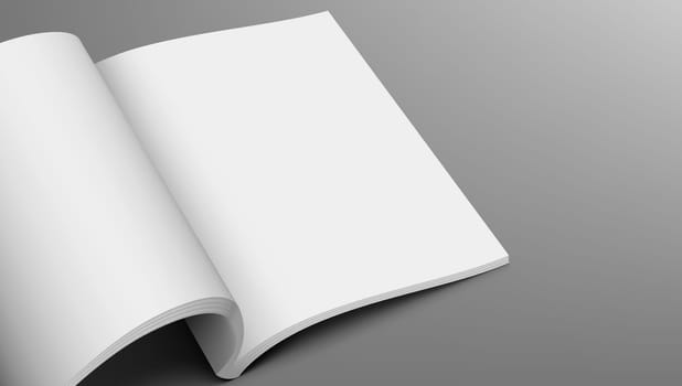 Blank Open Catalog, Magazines Or Book Mock Up. EPS10 Vector