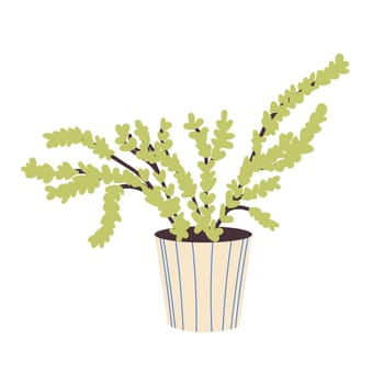 Home plant in a beige ceramic pot Decorative home plant. Tropical indoor flower. Indoor flower isolated on a white background. Flat vector illustration. Vector illustration