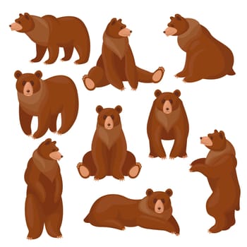 Brown bears set. Different views and poses of cute cartoon grizzly sitting, standing, walking isolated on white. Vector illustrations for wildlife, predators, mammal animals concept