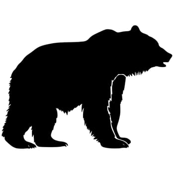 Bear Hand drawn Silhouette . Vector isolated on white graphic element. Wild animal symbol. Retro print design. Vector illustration