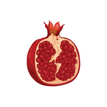 Pomegranate. Red ripe pomegranate. Juicy fruit. Juicy pomegranate cut in half. Vector illustration isolated on a white background.