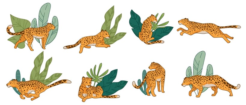 Safari mammal, isolated leopard or cheetah, panther exotic creature. Predator hunting and running, hiding by wide leaves and laying on ground. Carnivore feline cat animal, vector in flat style
