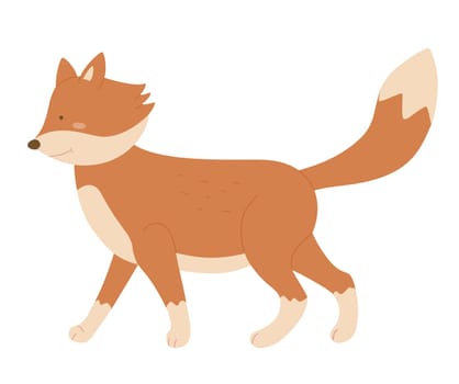 Cute wild fox. Omnivorous mammal animal, red wildlife fox, forest fauna vector illustration