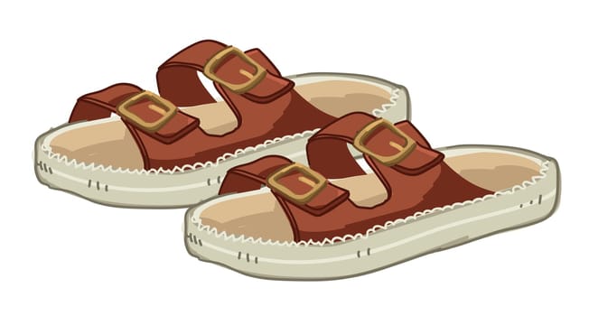 Fashionable and trendy footwear for safari apparels and outfits. Isolated pair of shoes, sandals with straps and clasps, comfortable wear for every day. Accessories and look. Vector in flat style