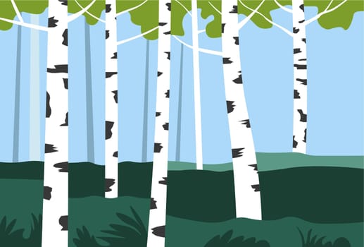 Natural landscape of birch trees growing in park or valley. Nature and wilderness, scene with tall plants and lush greenery and leaves. Harmony of woodland, tranquil scene. Vector in flat style