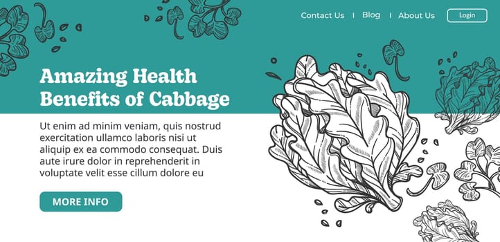 Organic and natural food products for dieting and nutrition, healthy nourishment and benefits of cabbage leaves plant. Monochrome sketch outline, website or landing page. Vector in flat style