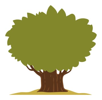 Forest or park, isolated tree with lush foliage and branches and wide trunk. Natural botany, nature and environment. fair weather and farming. Yard or garden in rural areas. Vector in flat style