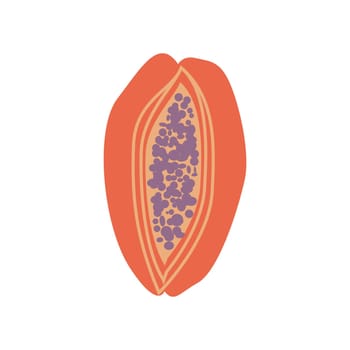 Papaya fresh organic fruit vector illustration on a white background