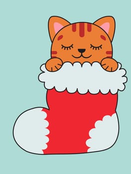 A ginger cat sleeps in a Christmas stocking. Christmas present. Christmas illustration. Vector illustration