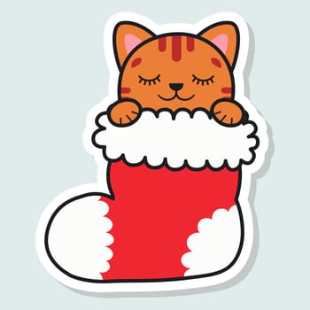 Cute cat in a Christmas stocking. Happy Holidays. Winter animal. Vector illustration