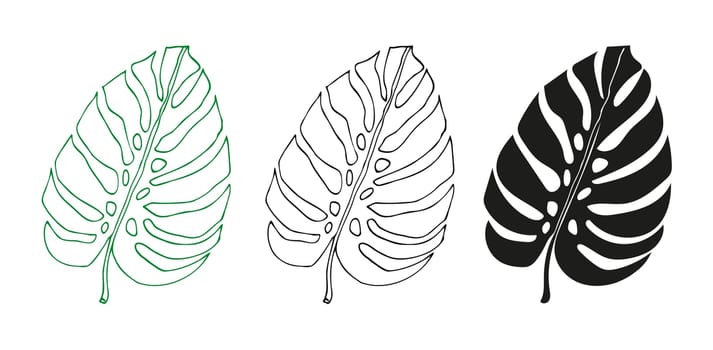 Monstera line and silhouette set of tropical leaves, greenery design element Monstera leaf, jungle plant. Leaf for coloring book, logo or scrapbook. Vector illustration, isolate on white background.
