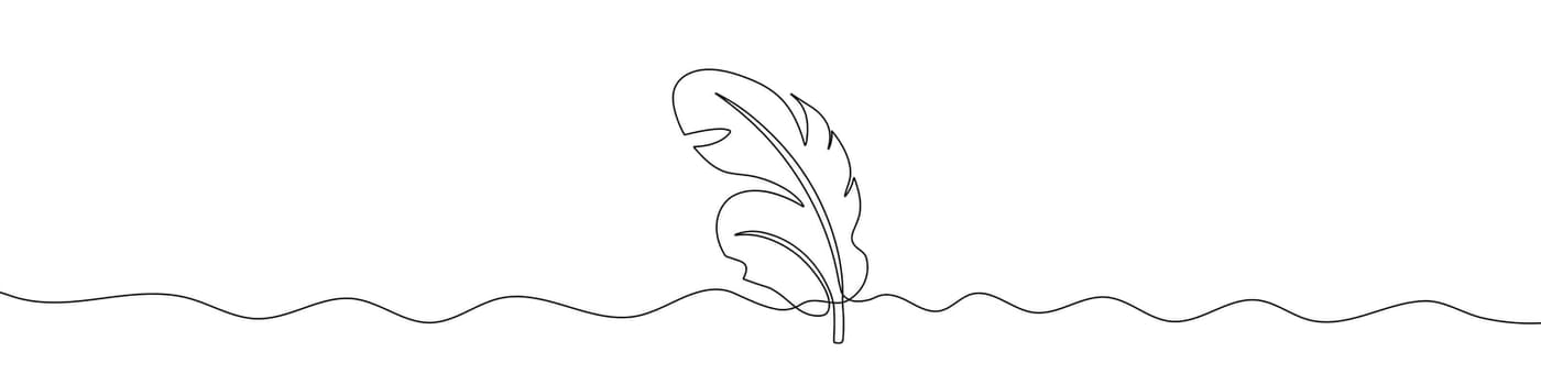 Continuous line drawing of feathers. One line drawing background. Vector illustration. Feathers continuous line icon.