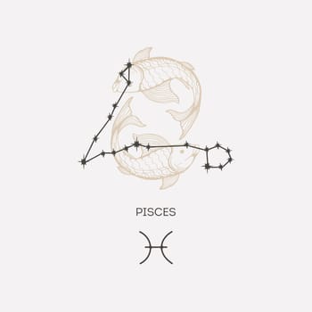 Pisces constellation vector illustration. Pisces constellation astrological drawing
