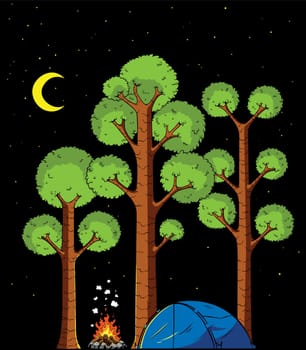 Cartoon illustration of forest camp at night.
